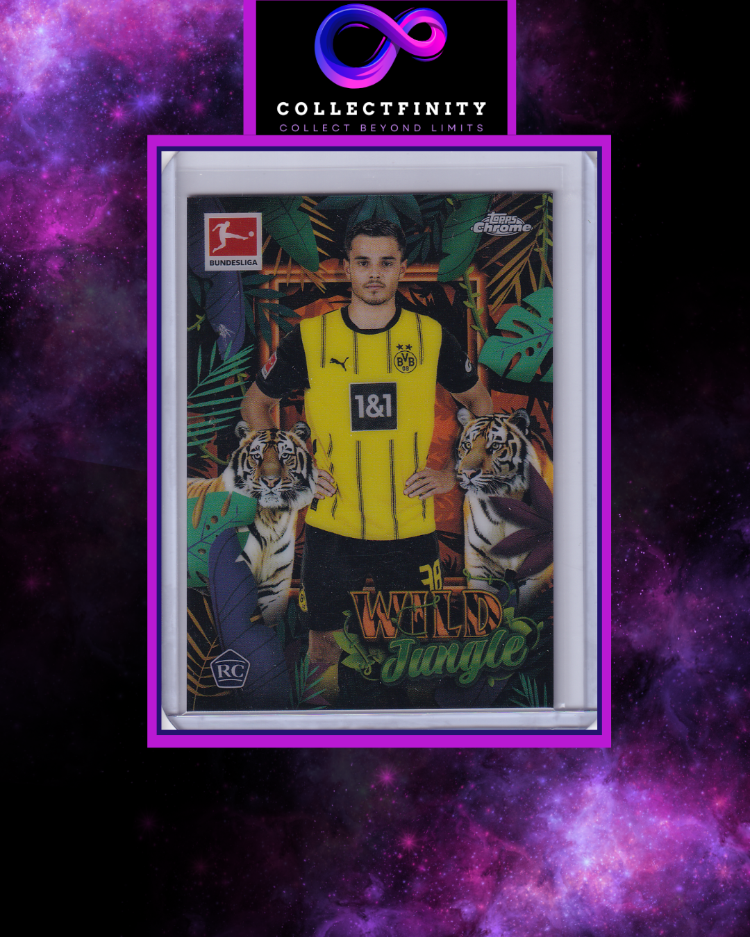 2024-25 Topps Chrome Bundesliga Kjell Wätjen Tiger Wild Jungle